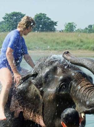 elephant-bathing